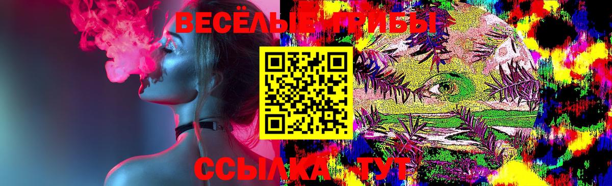 где купить   Псилоцибиновые грибы мицелий  Вход с VPN  Новосибирск 